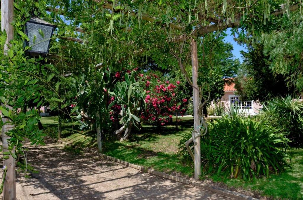 Maison d'hôtes Casa Da Avo Genoveva à Tomar Extérieur photo